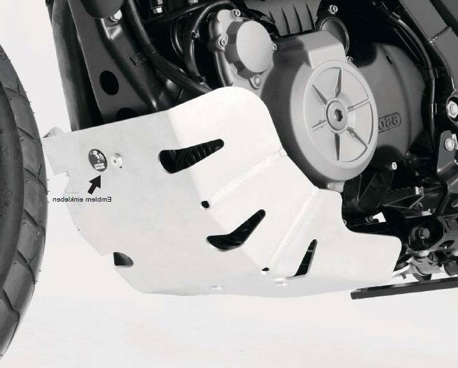 Hepco&Becker Aluminium Kurbelgehäuseschutz für BMW G650GS von 2011 bis 2016