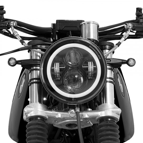 Barracuda Scheinwerfer Dragon LED
