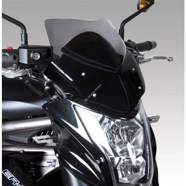 Barracuda Windschutzscheibe Kawasaki ER-6n 2012-2016